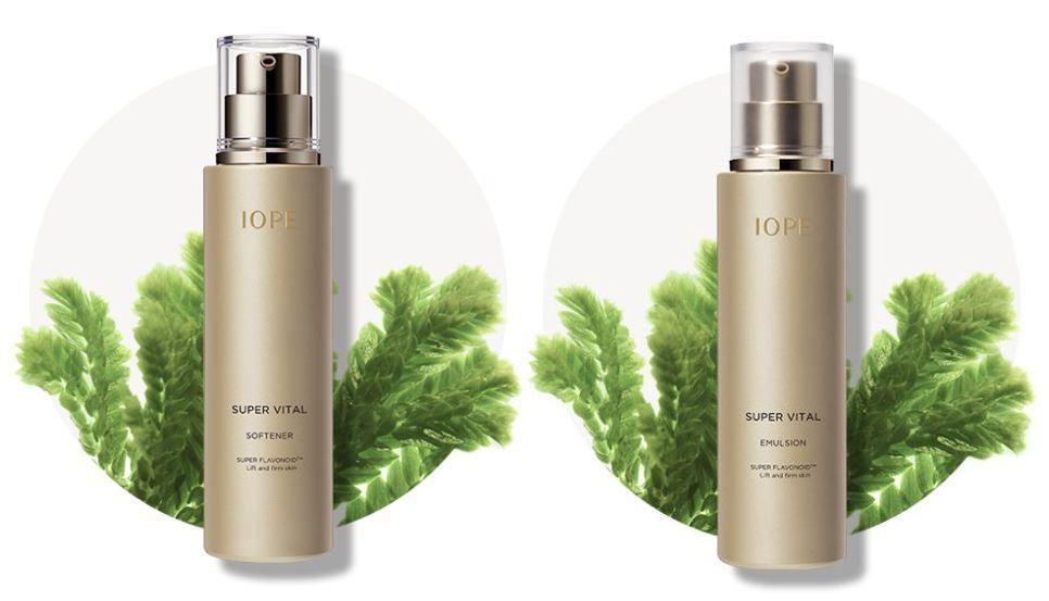 金色外包裝的IOPE活力抗皺黃精潤膚乳，與IOPE活力抗皺黃精水乳液，適合春冬季節使用。